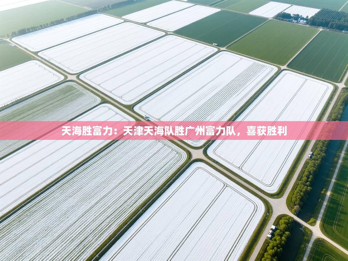 天海胜富力:天津天海队胜广州富力队,喜获胜利 第2张