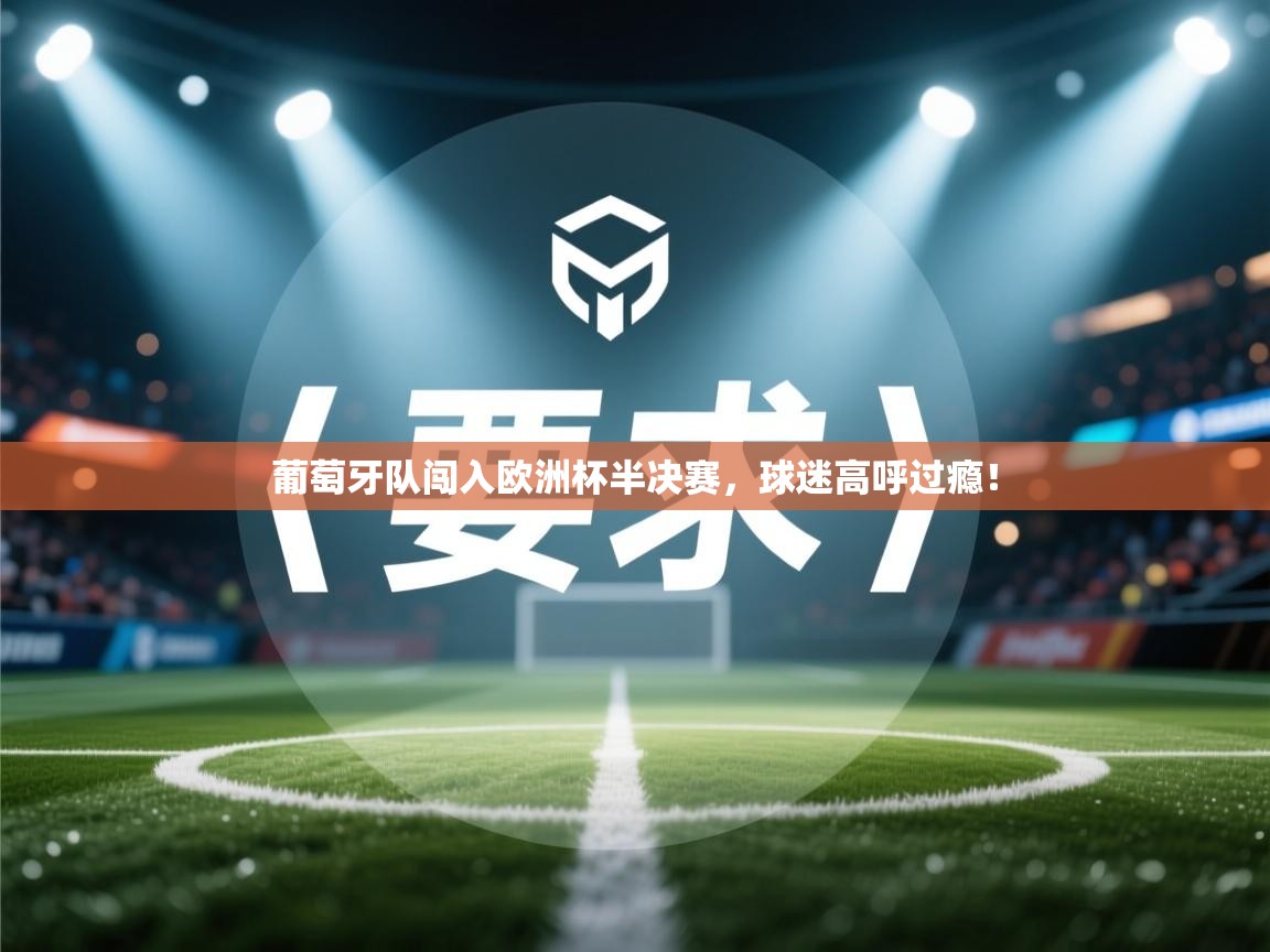 葡萄牙队闯入欧洲杯半决赛,球迷高呼过瘾! 第2张