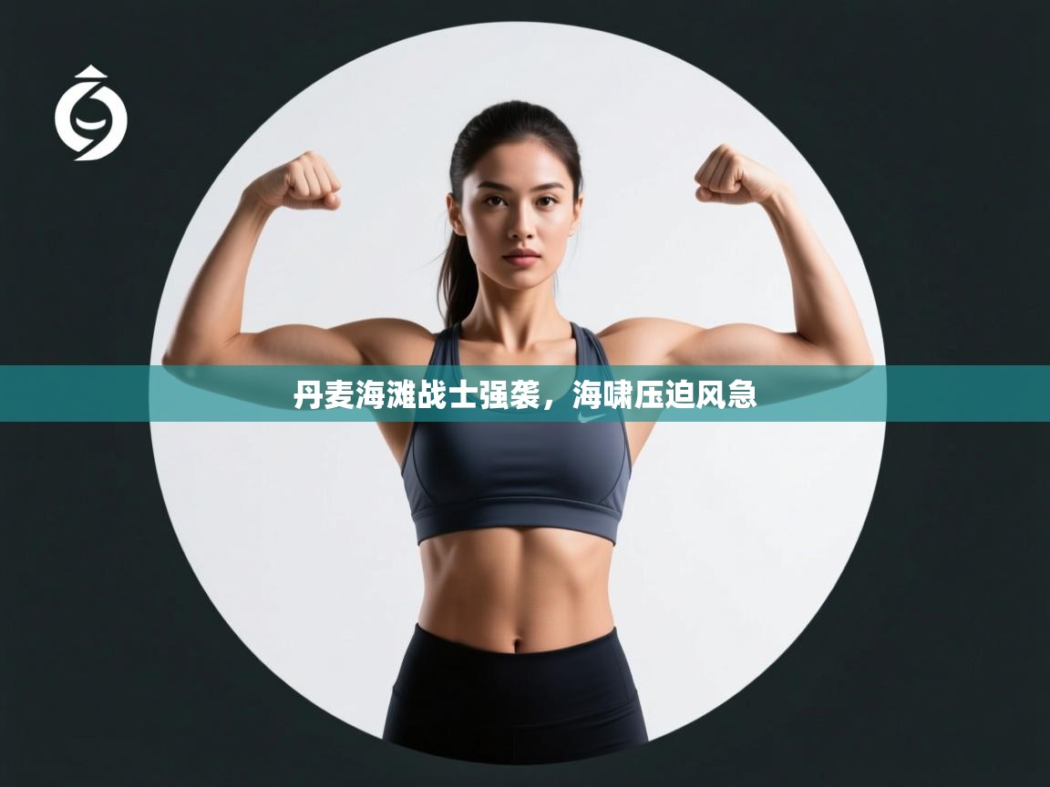 丹麦海滩战士强袭,海啸压迫风急 第1张