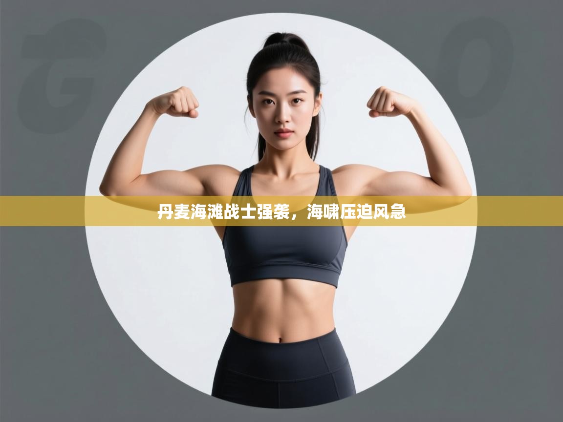 丹麦海滩战士强袭,海啸压迫风急 第2张