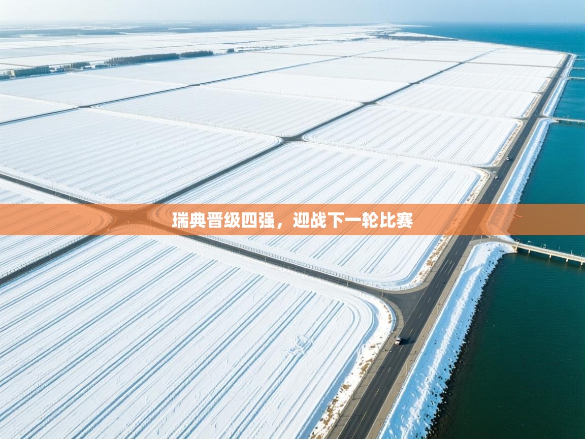 瑞典晋级四强,迎战下一轮比赛 第1张