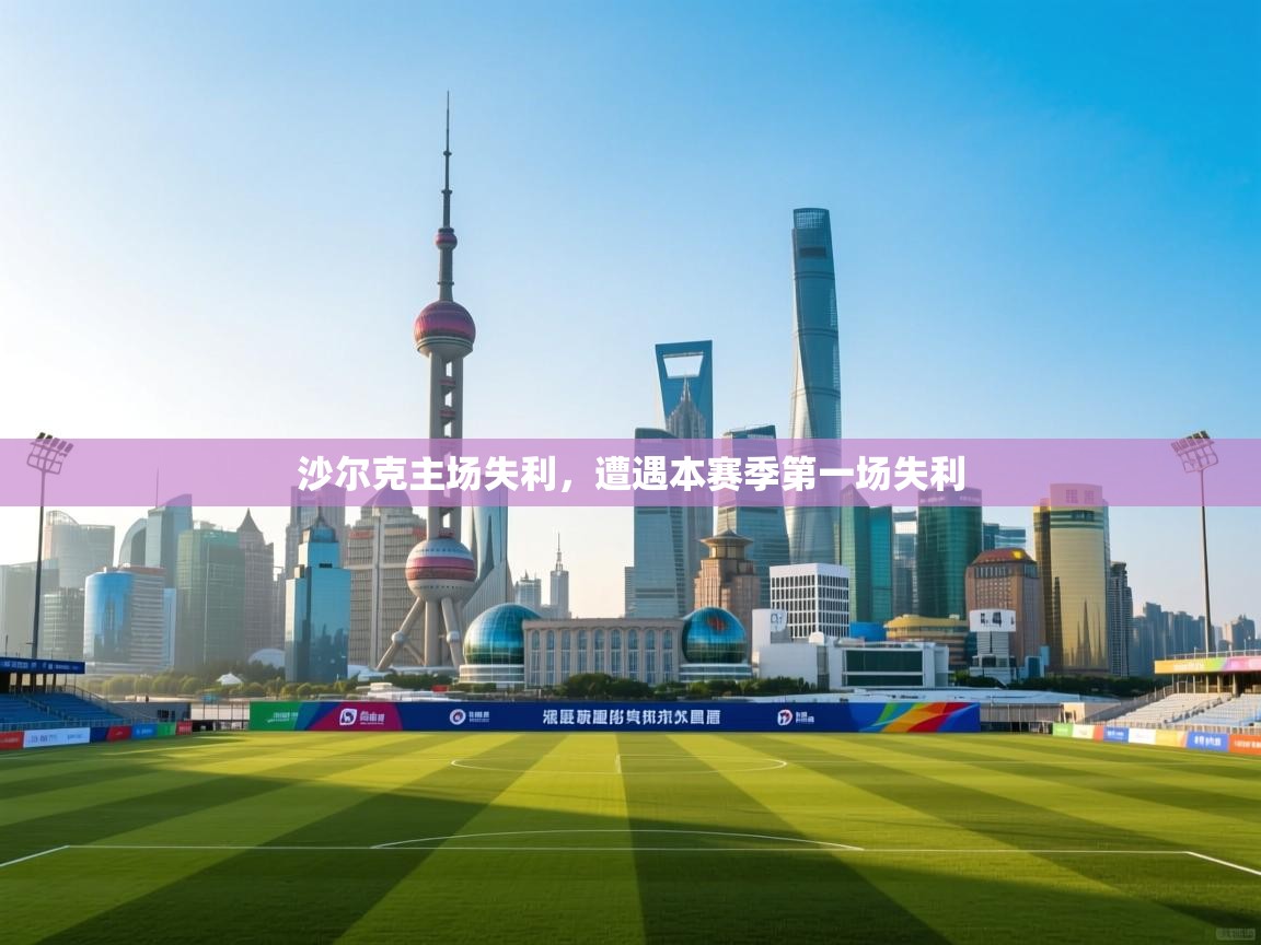 沙尔克主场失利，遭遇本赛季第一场失利  第2张
